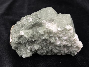 Adu0001  2 