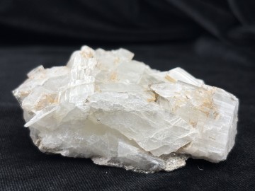Adu0002  2 