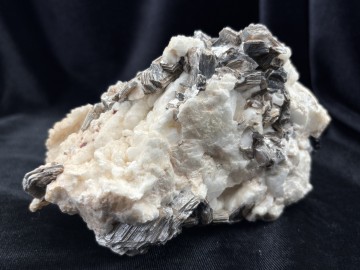 Alb0001  3