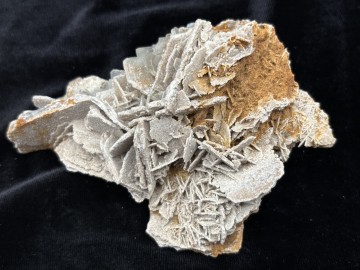 Bar0024  5 