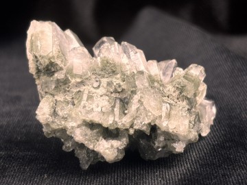 Ber0014  5 