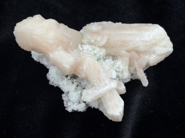 Ber0020  6 