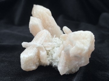 Ber0020  7 