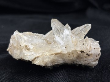 Ber0026  1 