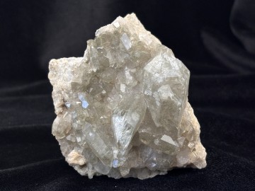 Ber0029  5 