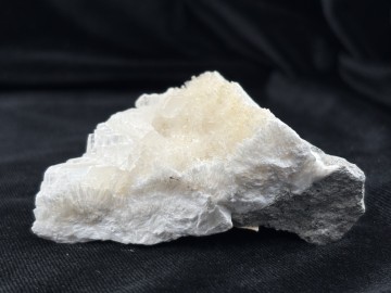 Cal0023  4 