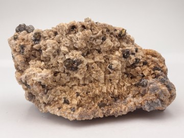 Dol0019  1 