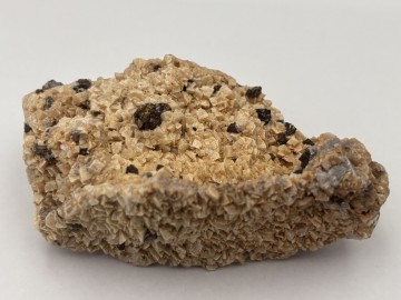 Dol0019  3 
