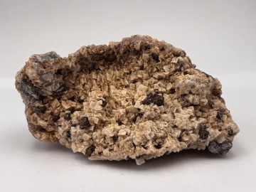 Dol0019  4 