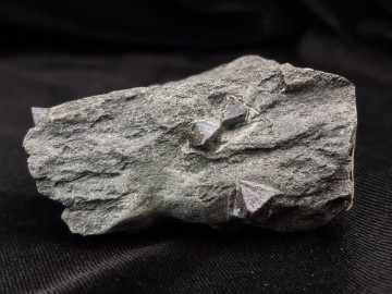 Mag0001  1 
