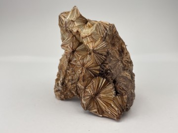 Phy0001  3 