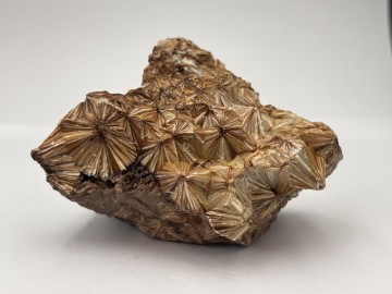 Phy0001  4 