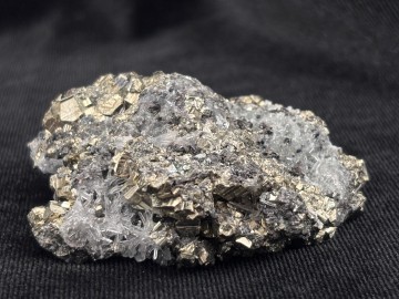 Pyr0059  1 