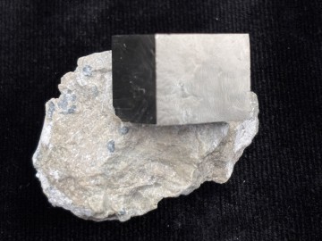 Pyr0061  1 