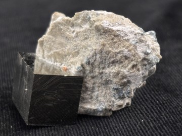 Pyr0061  3 