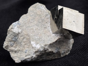 Pyr0064  1 